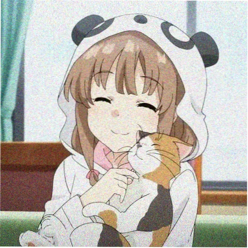 观众头像 山野的风